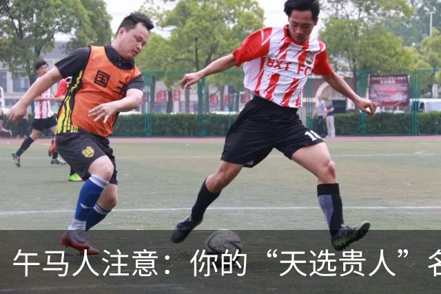 午马人注意：你的“天选贵人”名单曝光，第一名绝了！