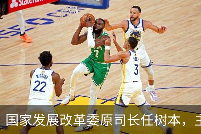 国家发展改革委原司长任树本，主动投案