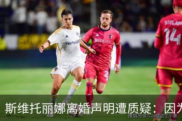 斯维托丽娜离婚声明遭质疑：因为战争就要离婚？别打球了去打仗吧
