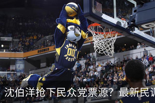 沈伯洋抢下民众党票源？最新民调揭19％小草支持动向
