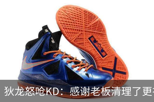 狄龙怒呛KD：感谢老板清理了更衣室里的那些恶臭