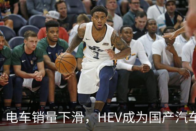 电车销量下滑，HEV成为国产汽车增长发动机，继续挑战丰田