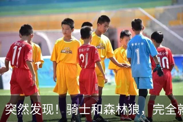 突然发现！骑士和森林狼，完全就是两个极端