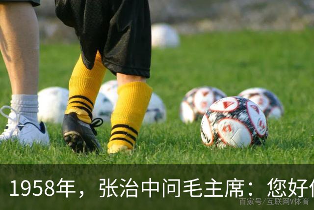 1958年，张治中问毛主席：您好像处处存着戒心，毛主席如何回答？