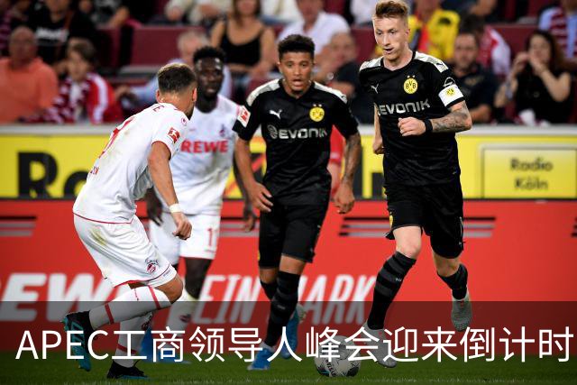 APEC工商领导人峰会迎来倒计时1个月